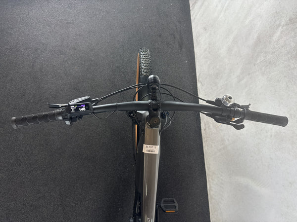 Trek Powerfly+ FS 4 – Bild 3