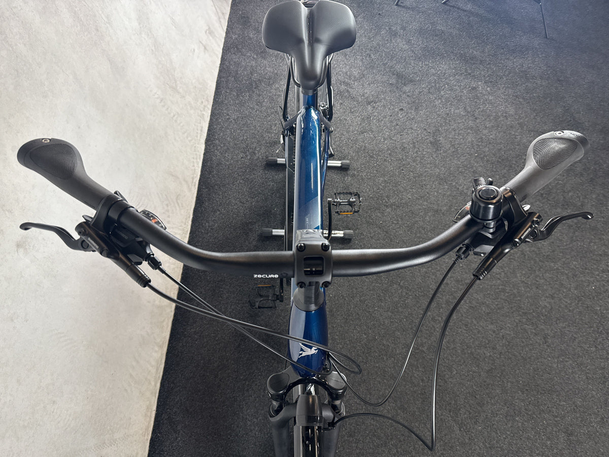 Bifoco — cockpit_von_vorne
