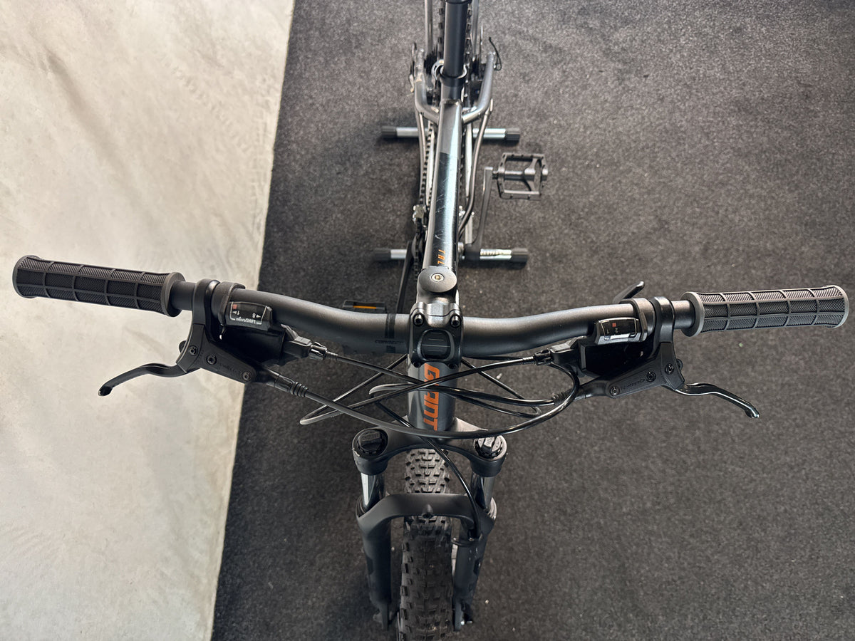 Bifoco — cockpit_von_vorne