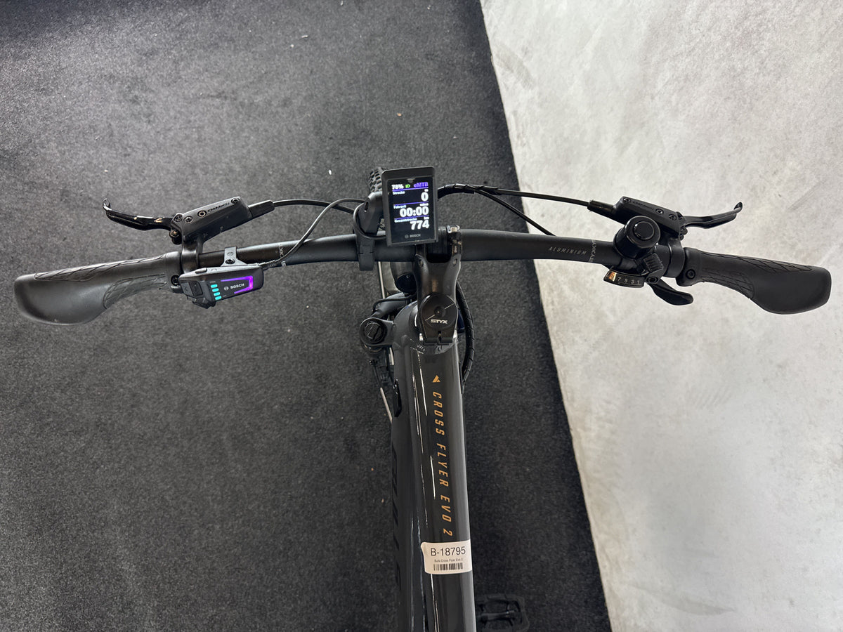 Bifoco — cockpit_fahrersicht