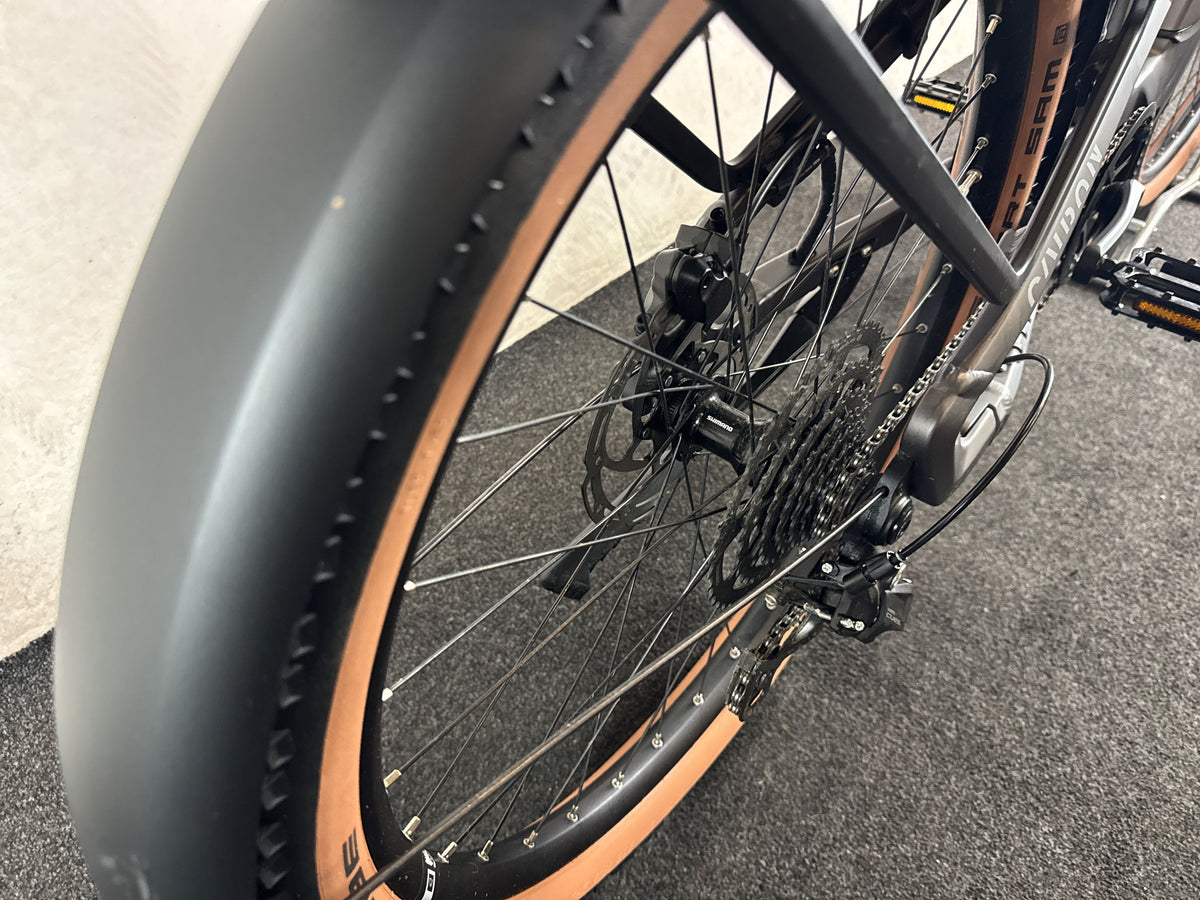 Bifoco — hinterrad_iso
