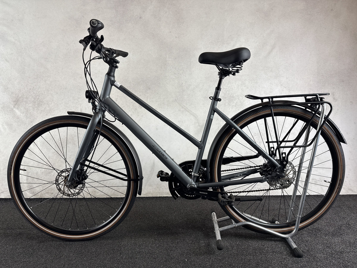 Dynamics Magic Road gebraucht – Seitenansicht links