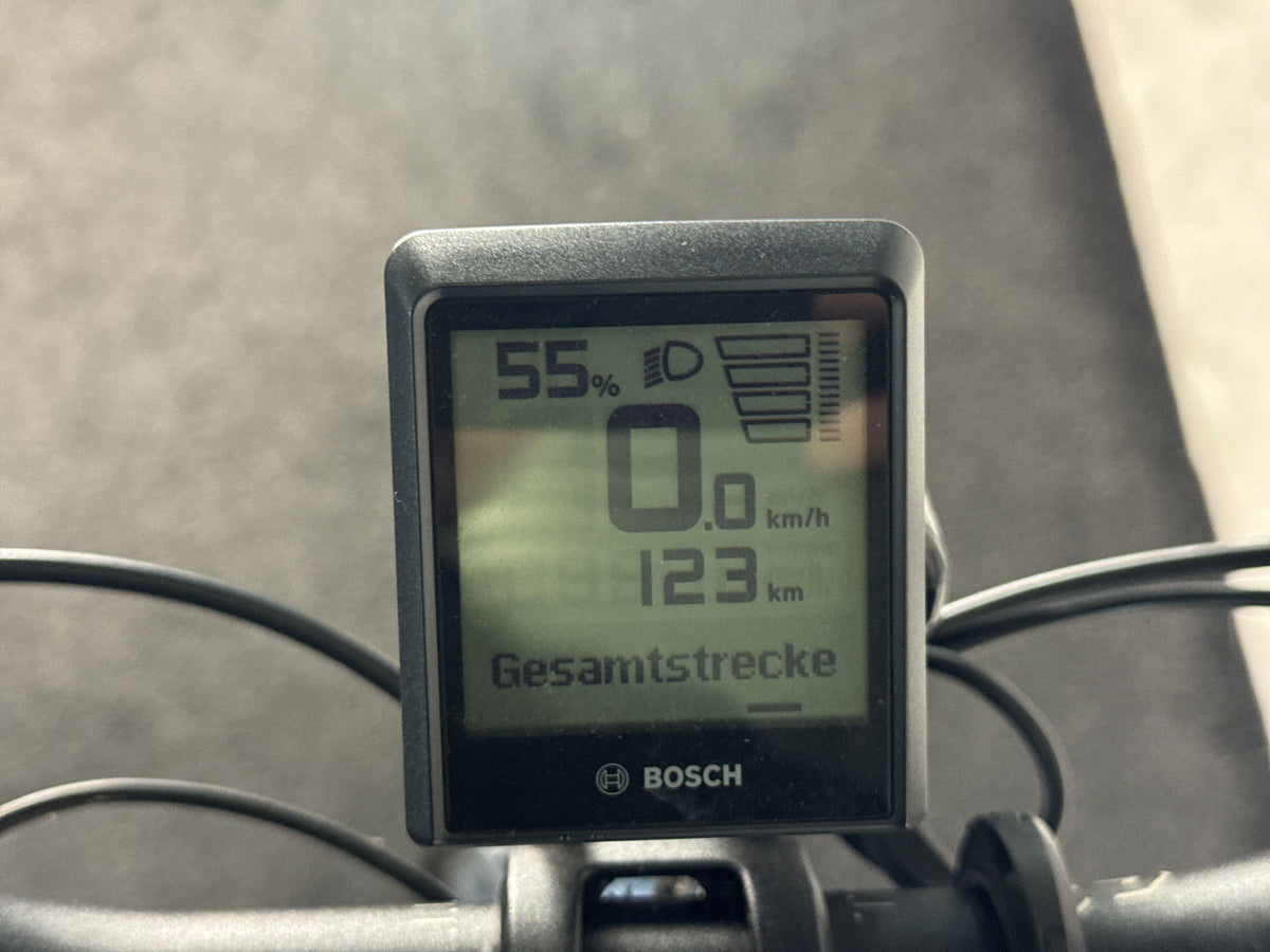 Bergamont E-Horizon SUV 20 Belt gebraucht – Display