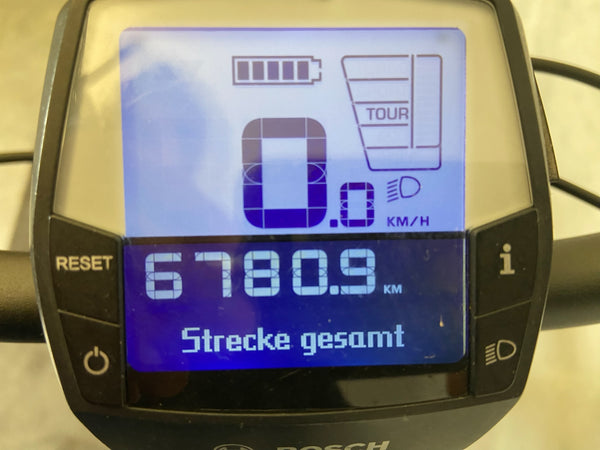 Pegasus Solero – Bild 3