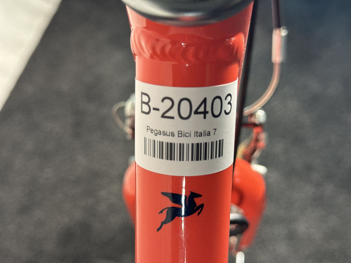 Pegasus Bici Italia 7 gebraucht – Rahmennummer-Etikett