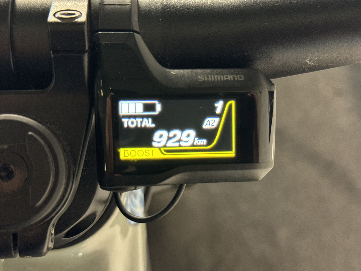 Bulls SONIC EVO AM-SL 2 gebraucht – Display