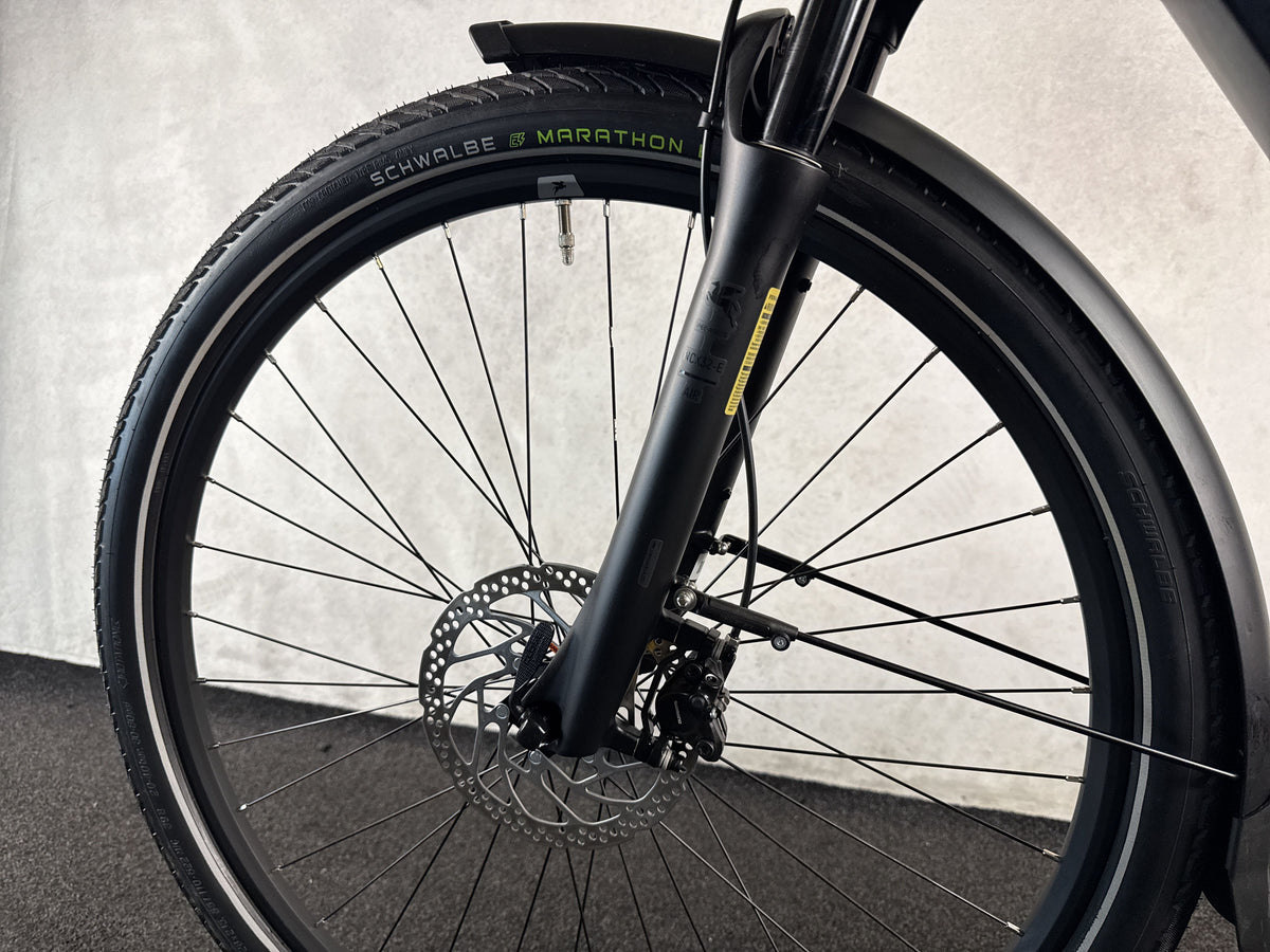 Pegasus Premio EVO 10 Lite gebraucht – Vorderrad und Gabel