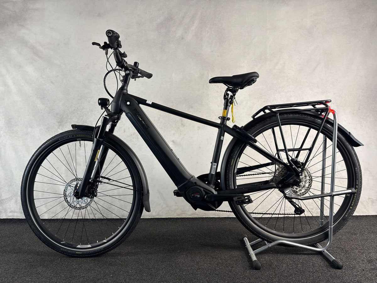 Pegasus Premio EVO 10 Lite gebraucht – Seitenansicht links