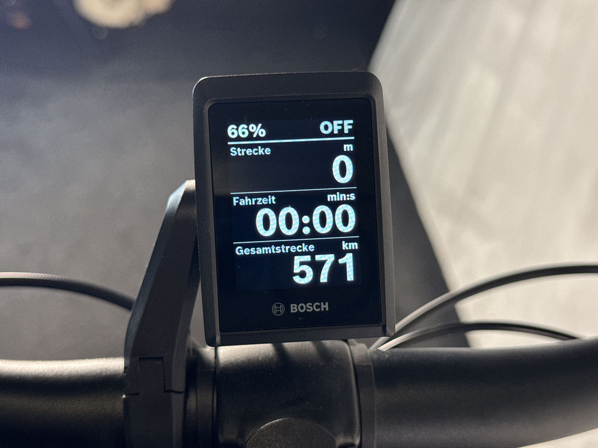 Gazelle Arroyo Elite C5 gebraucht – Display