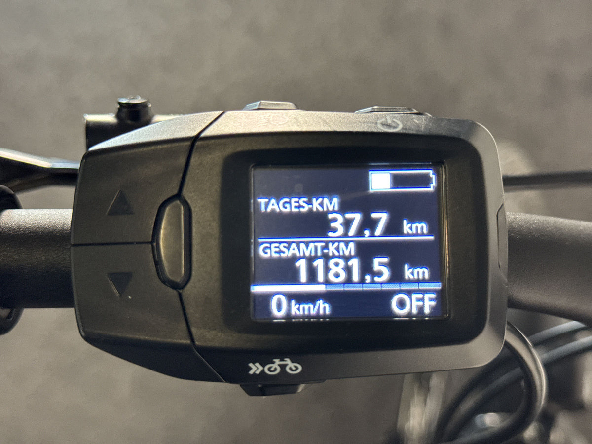 Kellys E-Carson 30 P gebraucht – Display