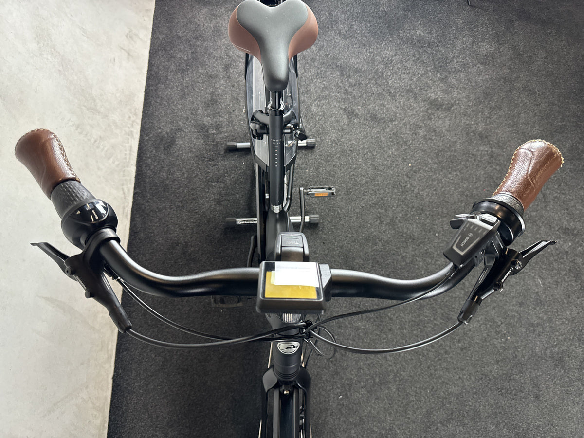 Gazelle Arroyo C8 HMB Elite gebraucht – Cockpit von vorne