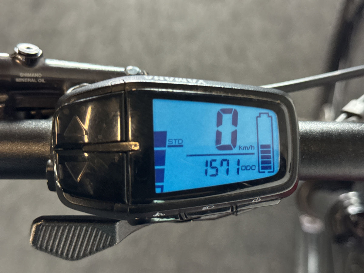 Haibike AllMtn CF 12 gebraucht – Display