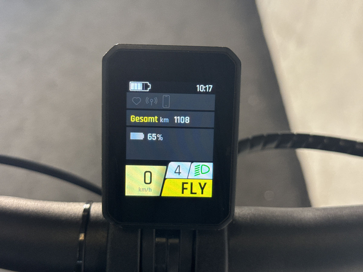 Pegasus Estremo EVO 12 Lite gebraucht – Display