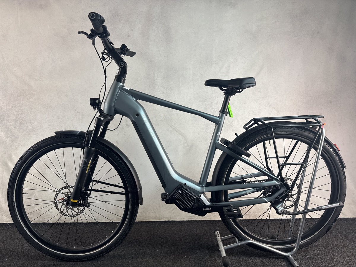 Pegasus Estremo EVO 12 Lite gebraucht – Seitenansicht links