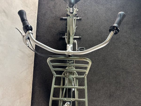 Gazelle Miss Grace – Bild 3