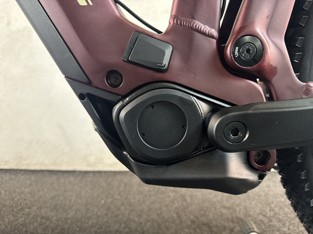 Bulls Iconic EVO gebraucht – Motor von links