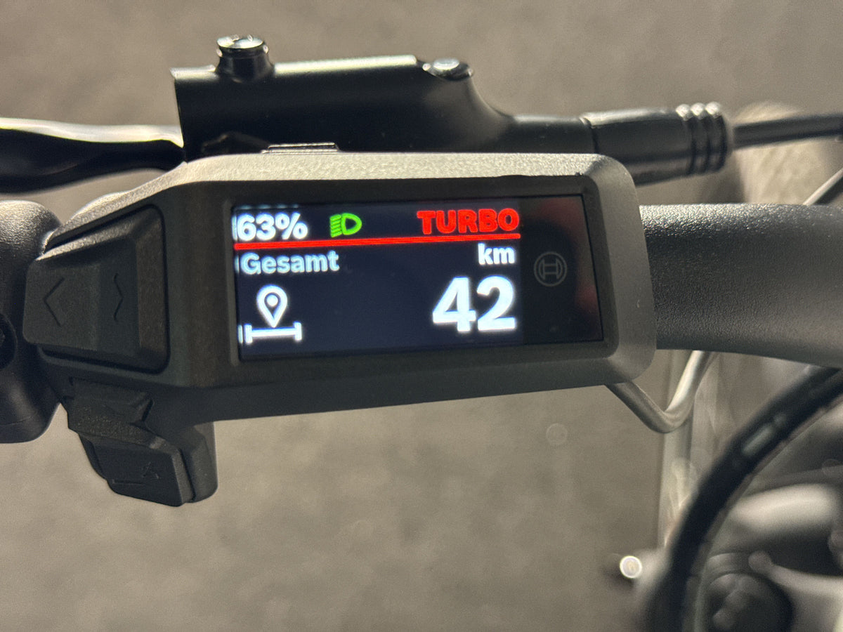 Pegasus Solero EVO 10 gebraucht – Display