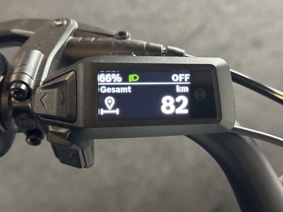 Gazelle Arroyo C7+ HMB gebraucht – Display