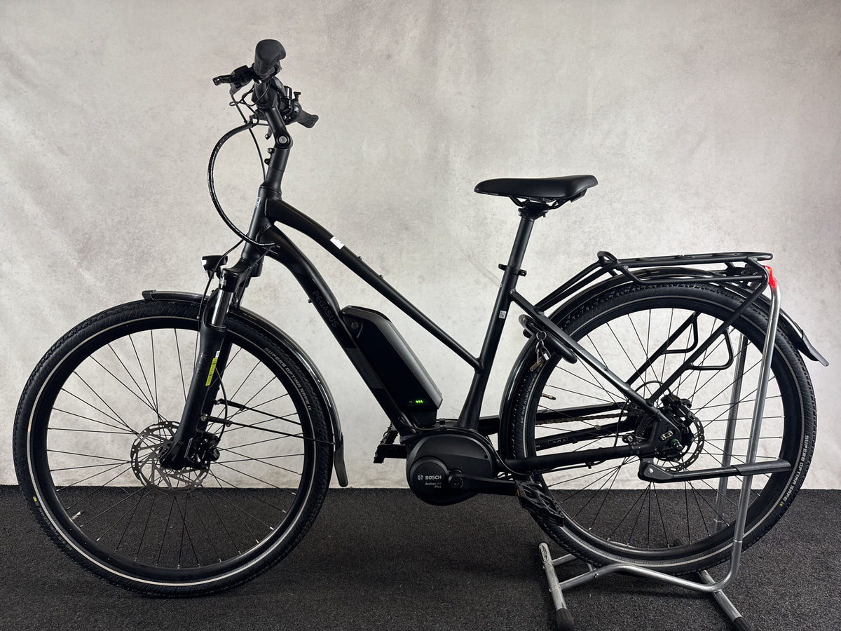 Pegasus Solero EVO 8F gebraucht – Seitenansicht links