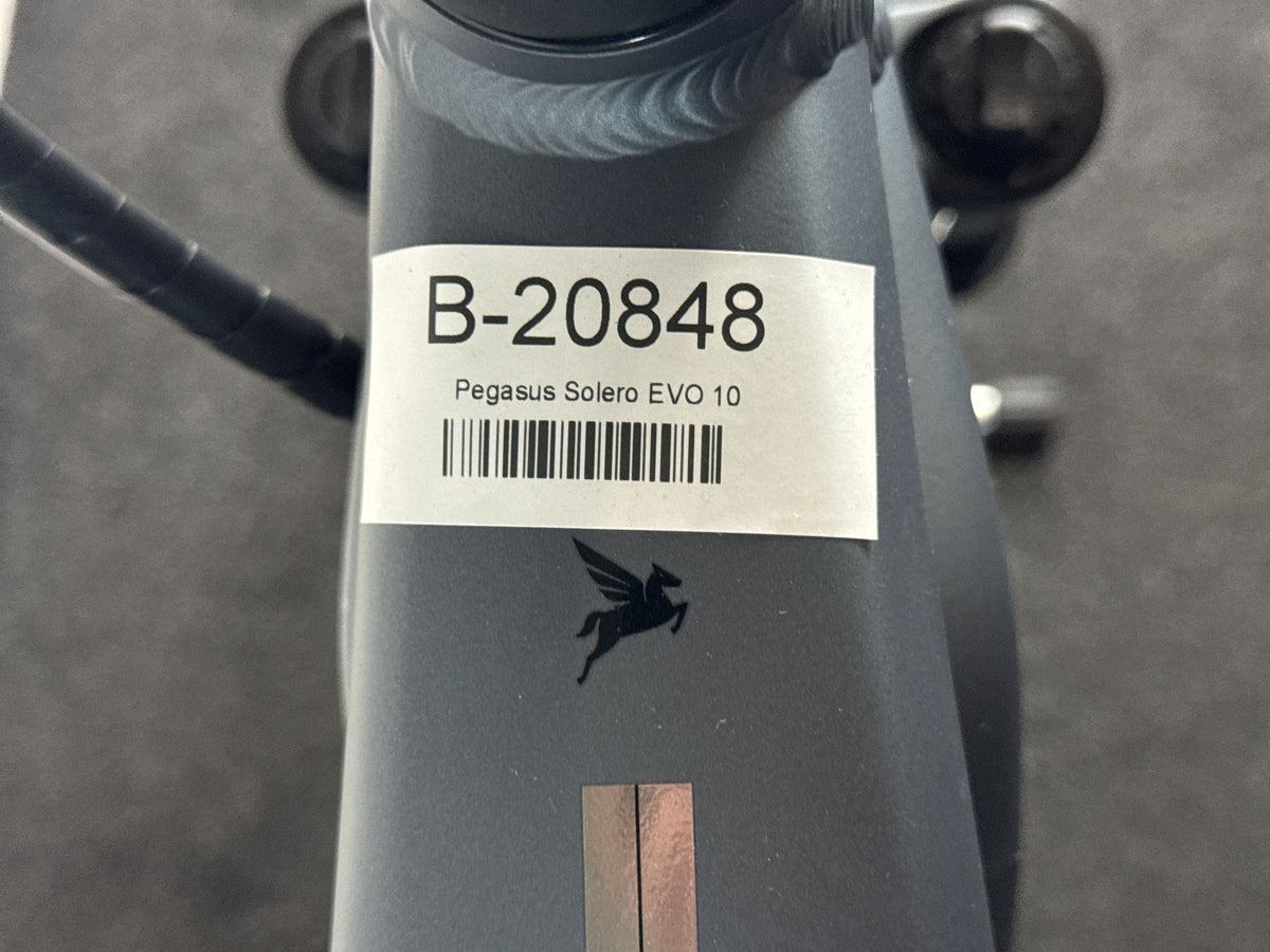Pegasus Solero EVO 10 gebraucht – Rahmennummer-Etikett