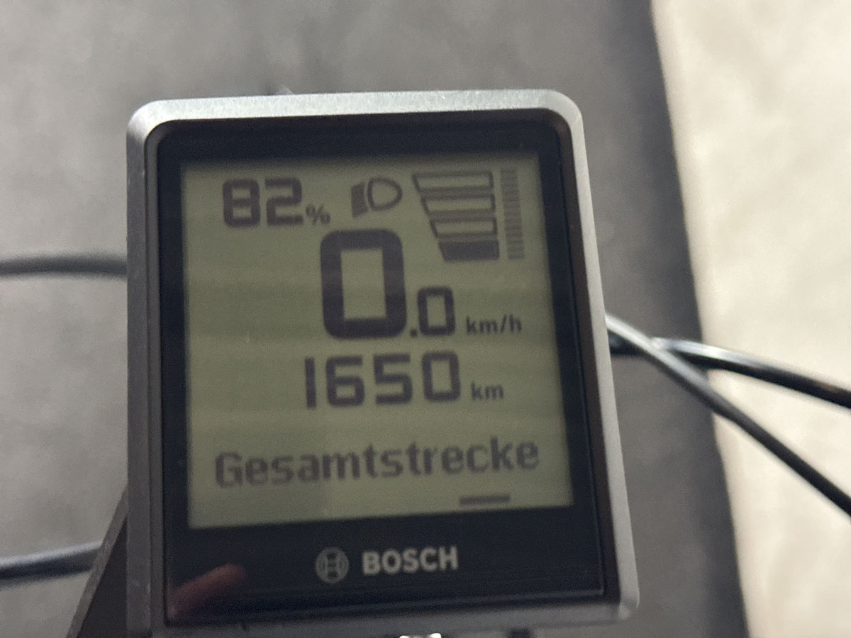 Bulls Allground CX gebraucht – Display