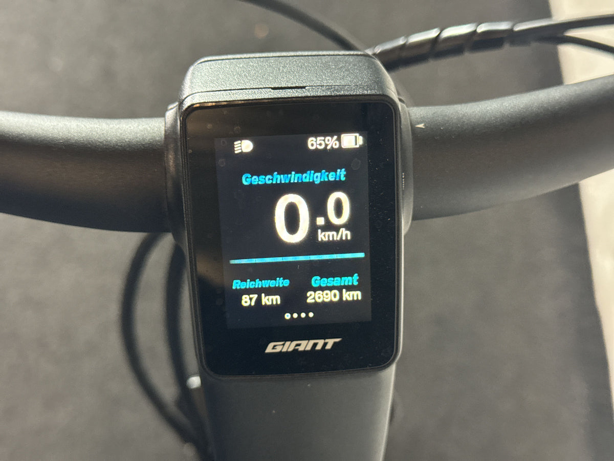 Giant DailyTour E+ 2 RT gebraucht – Display
