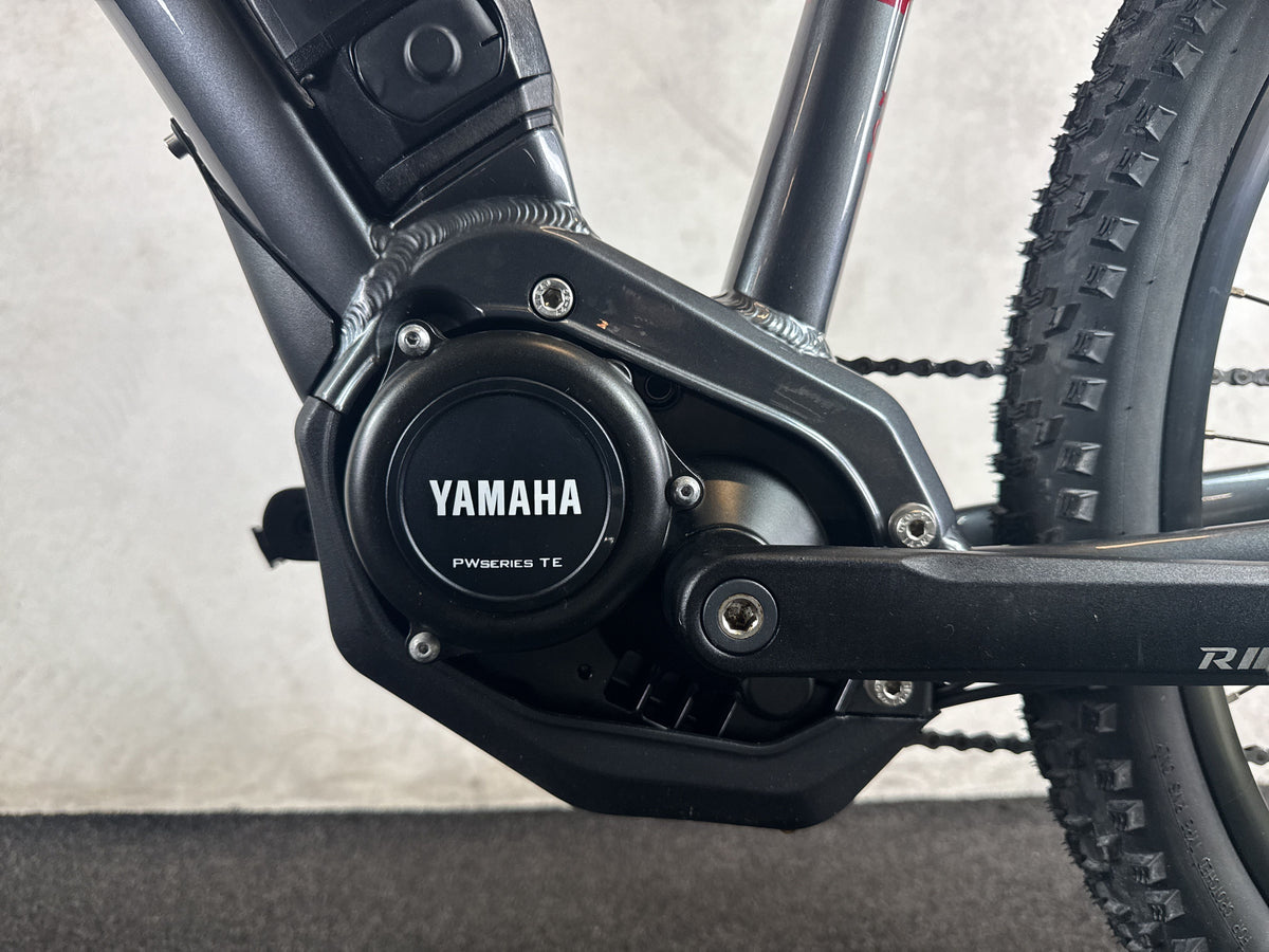 Raymon HardRay E 3.0 gebraucht – Motor von links