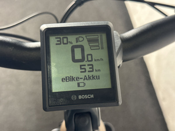 Winora Tria N8 E – Bild 4
