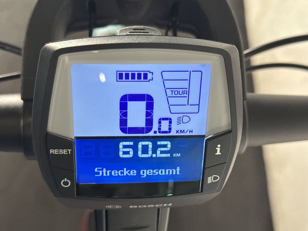 Gazelle Avignon C8 gebraucht – Display