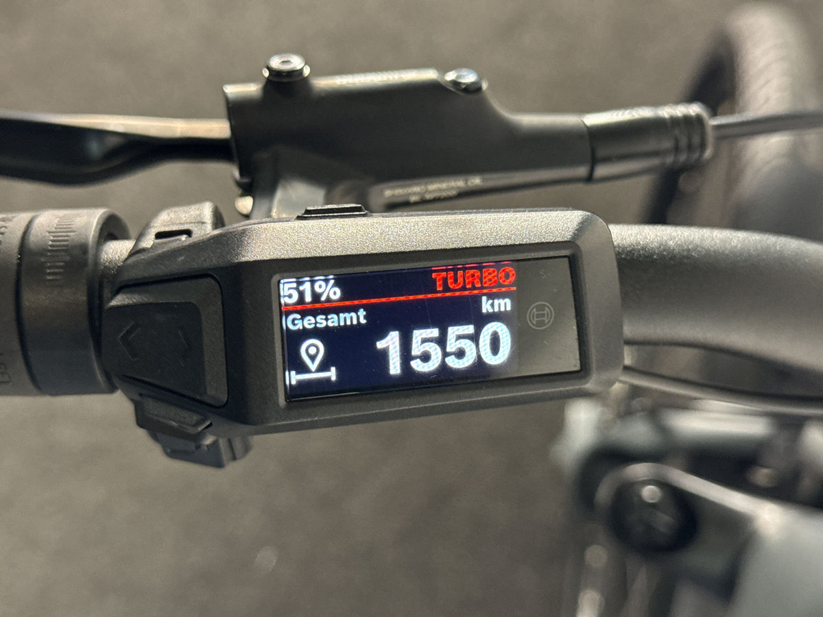 Cube Kathmandu Hybrid EX 800 gebraucht – Display