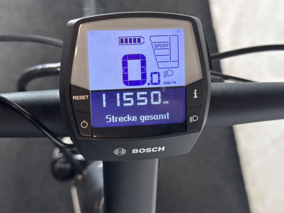 Pegasus Premio Evo 12 Lite Cross gebraucht – Display