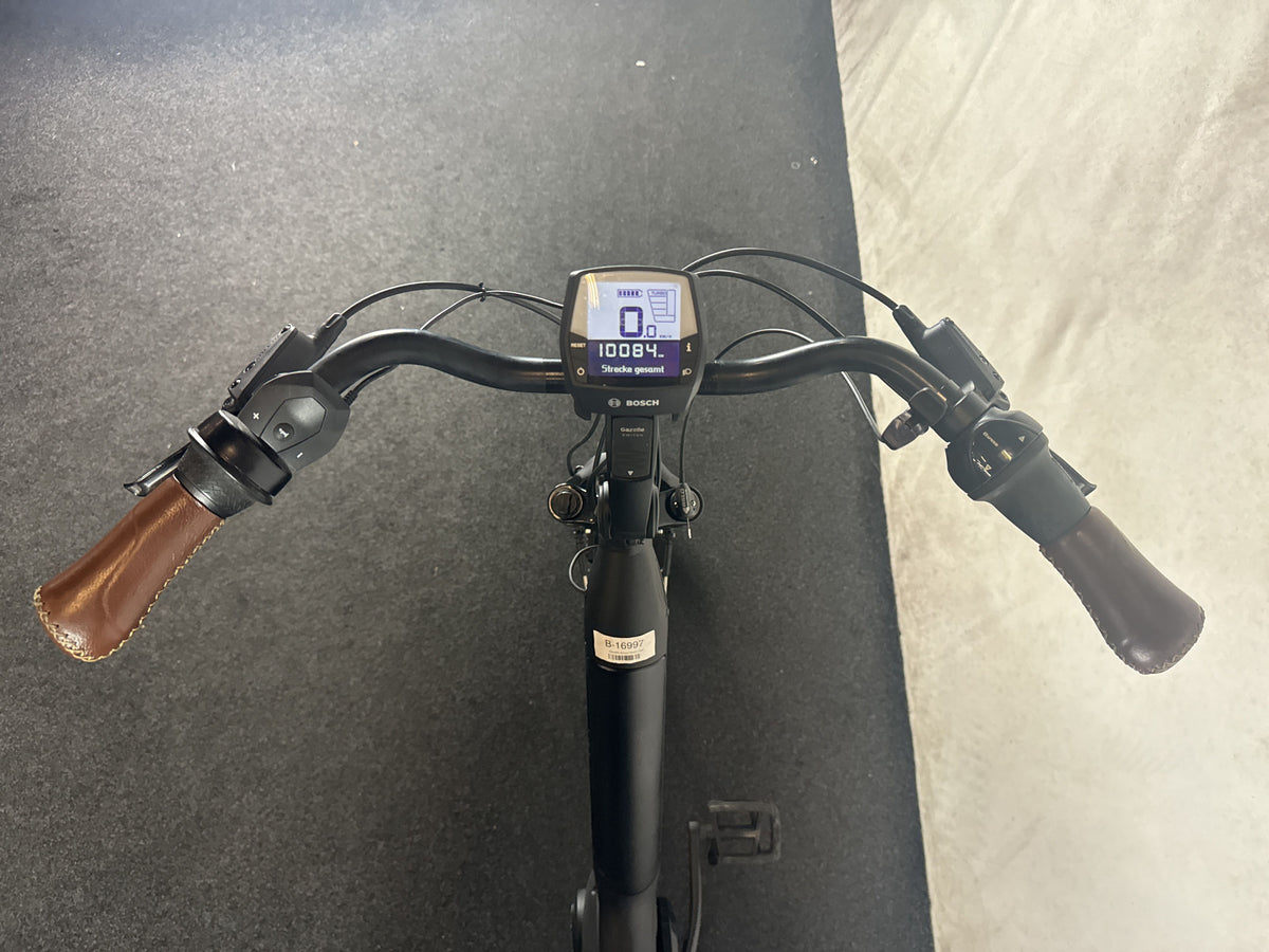 Gazelle Arroyo gebraucht – Cockpit aus Fahrersicht