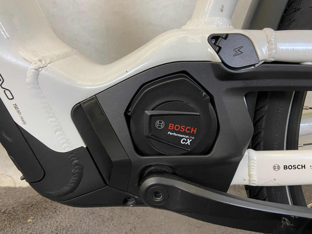 Pegasus Premio EVO 10 Lite Comfort gebraucht – Bild 2