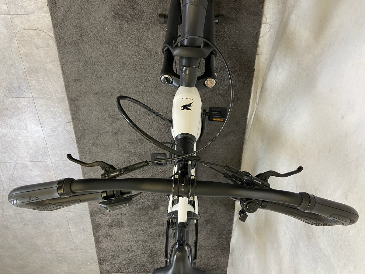 Pegasus Premio EVO 10 Lite Comfort gebraucht – Bild 4