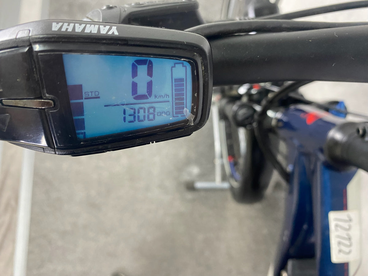 Raymon CrossRay FS E 4.0