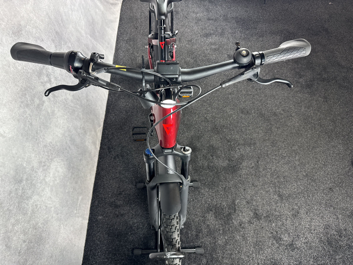 Bifoco — cockpit_von_vorne