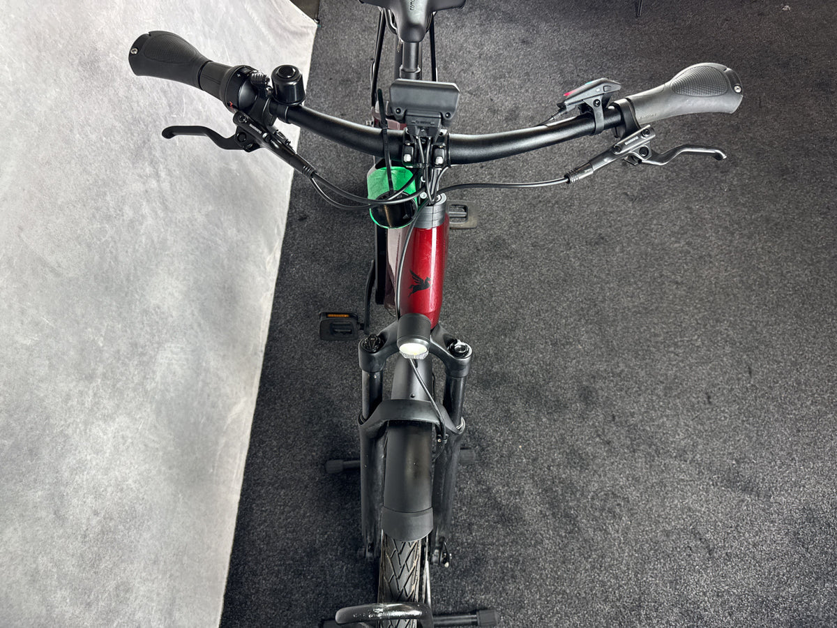 Bifoco — cockpit_von_vorne