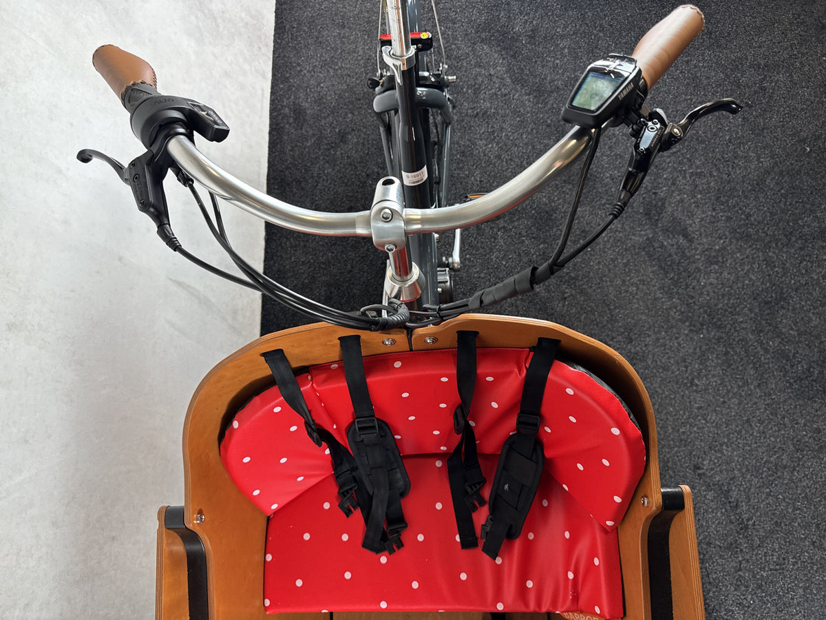 Bifoco — cockpit_von_vorne