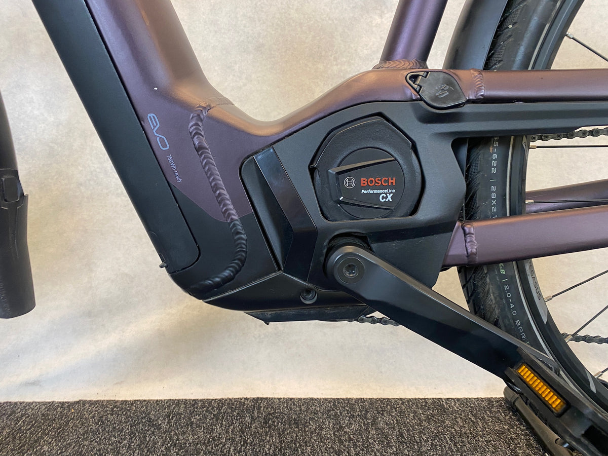 Pegasus Premio EVO 11 "40 Years"