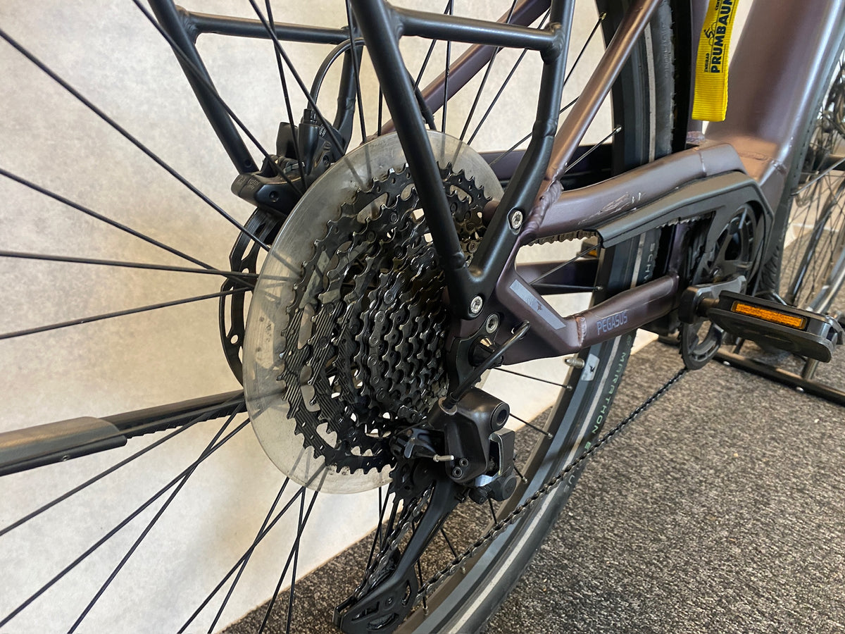 Pegasus Premio EVO 11 "40 Years"