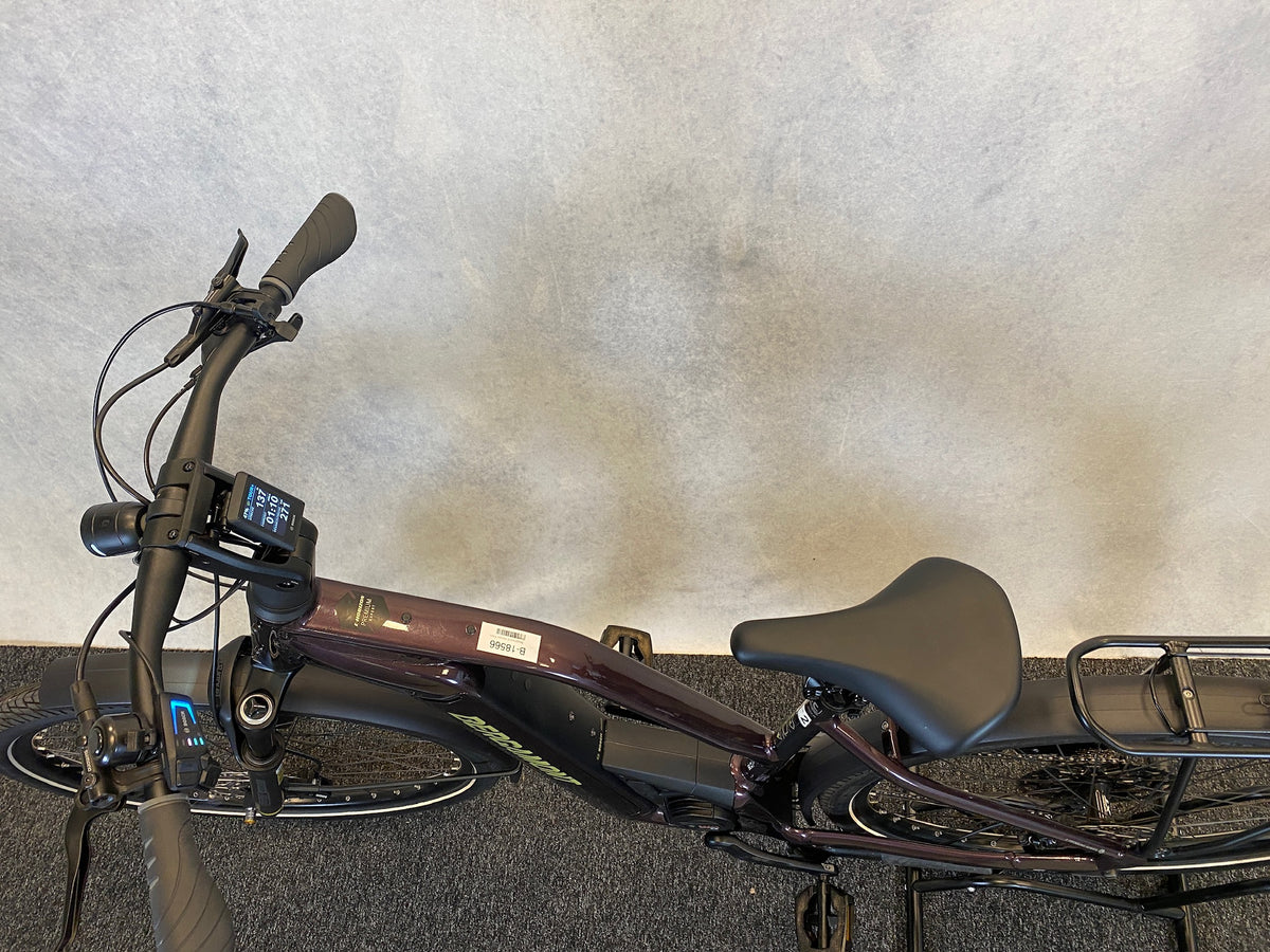 Bergamont E-Horizon Prem Expert 2024