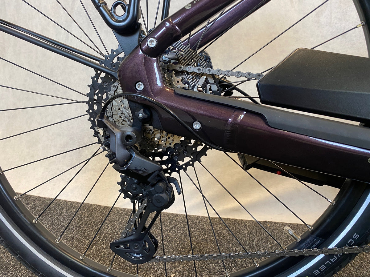 Bergamont E-Horizon Prem Expert 2024