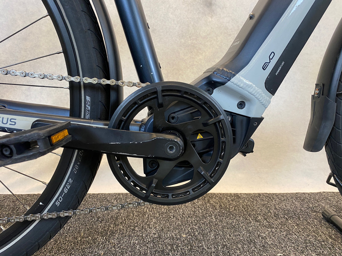 Pegasus Premio EVO 10 Lite 2022