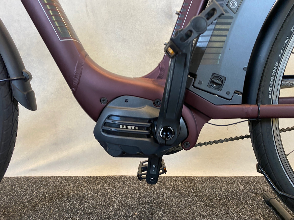 Raleigh Corby 8 2023