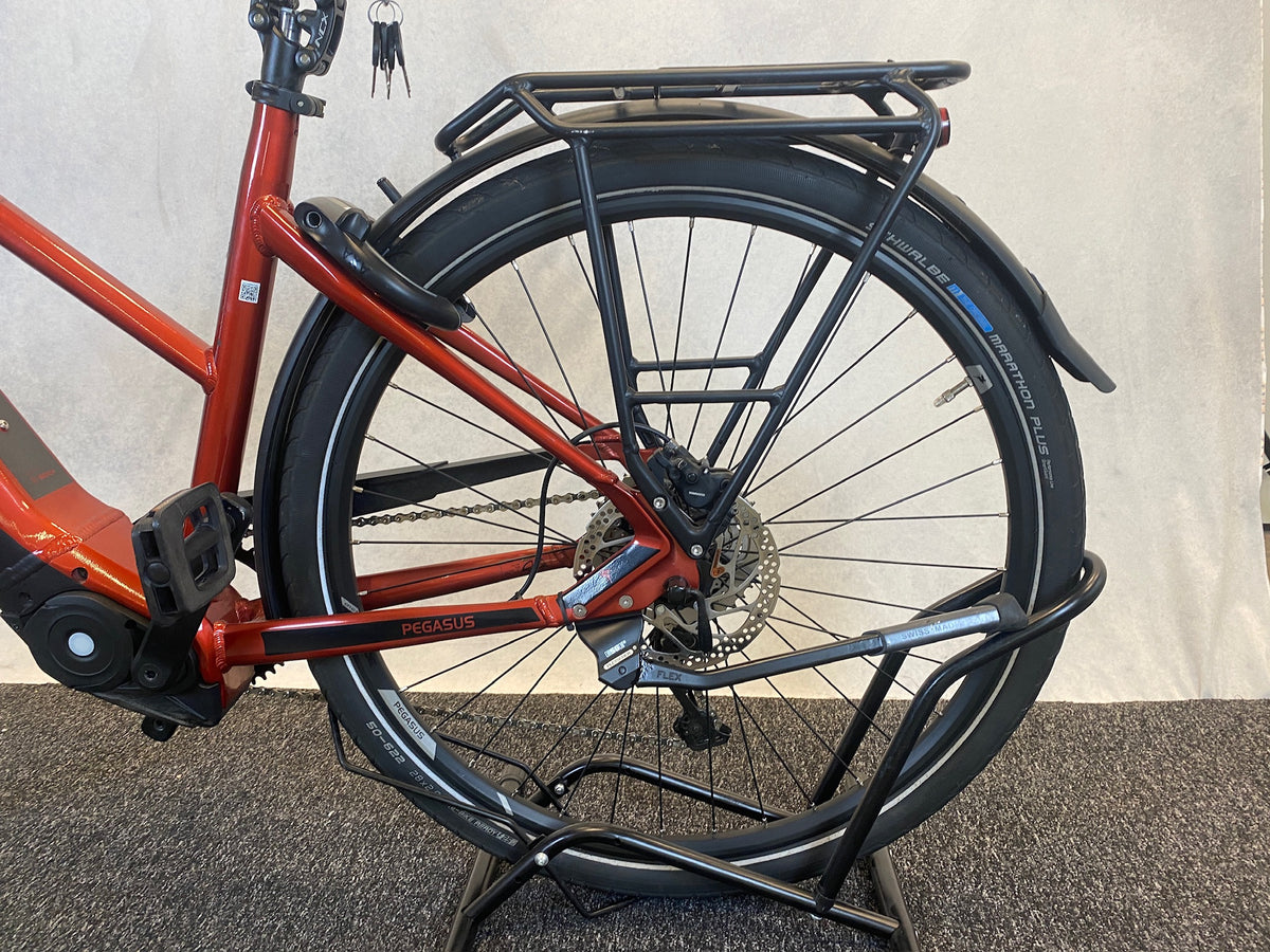 Pegasus Premio EVO 10 Lite 2022