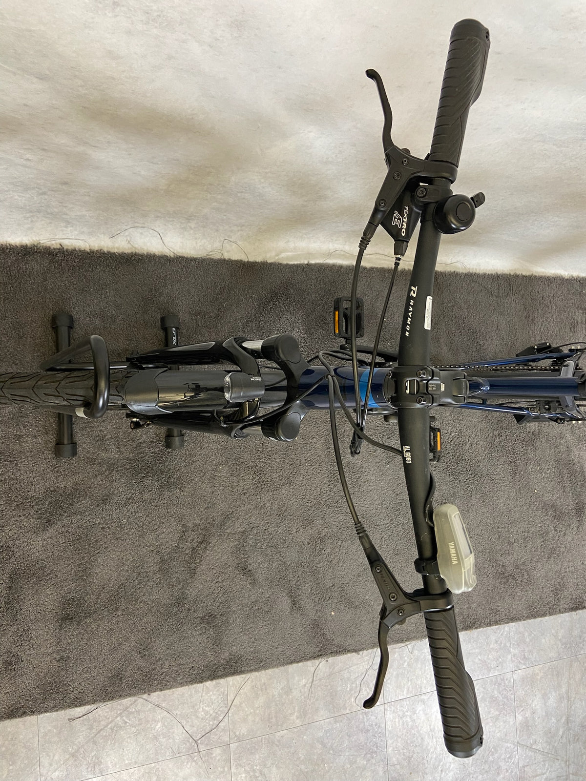 Raymon TourRay E 2.0 Trapez