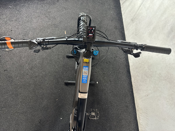 Orbea Wild FS H10