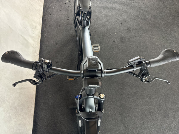 Riese & Müller Charger4 GT rohloff