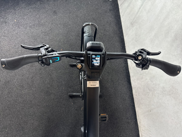 Riese & Müller Charger4 GT rohloff