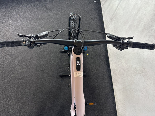 Specialized Levo LTD